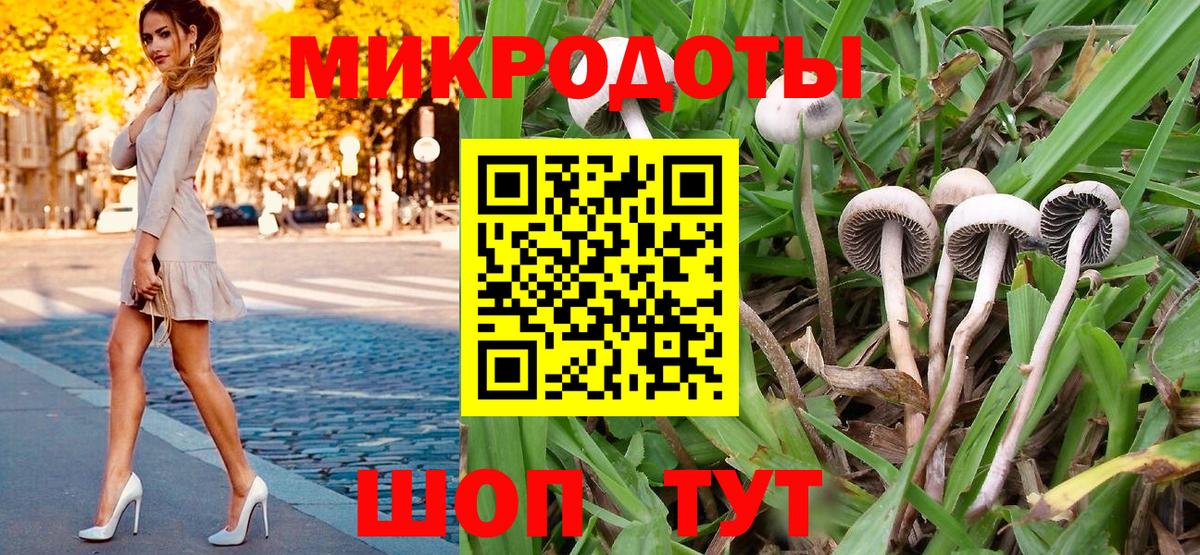 Галлюциногенные грибы Psilocybine cubensis Тула