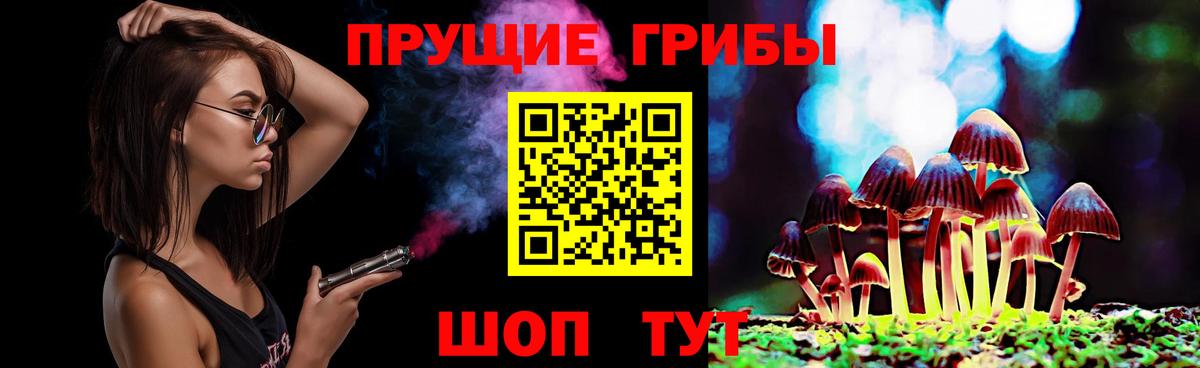 Псилоцибиновые грибы прущие грибы  купить наркотик  Вход с VPN  Тула  Псилоцибиновые грибы Magic Shrooms 